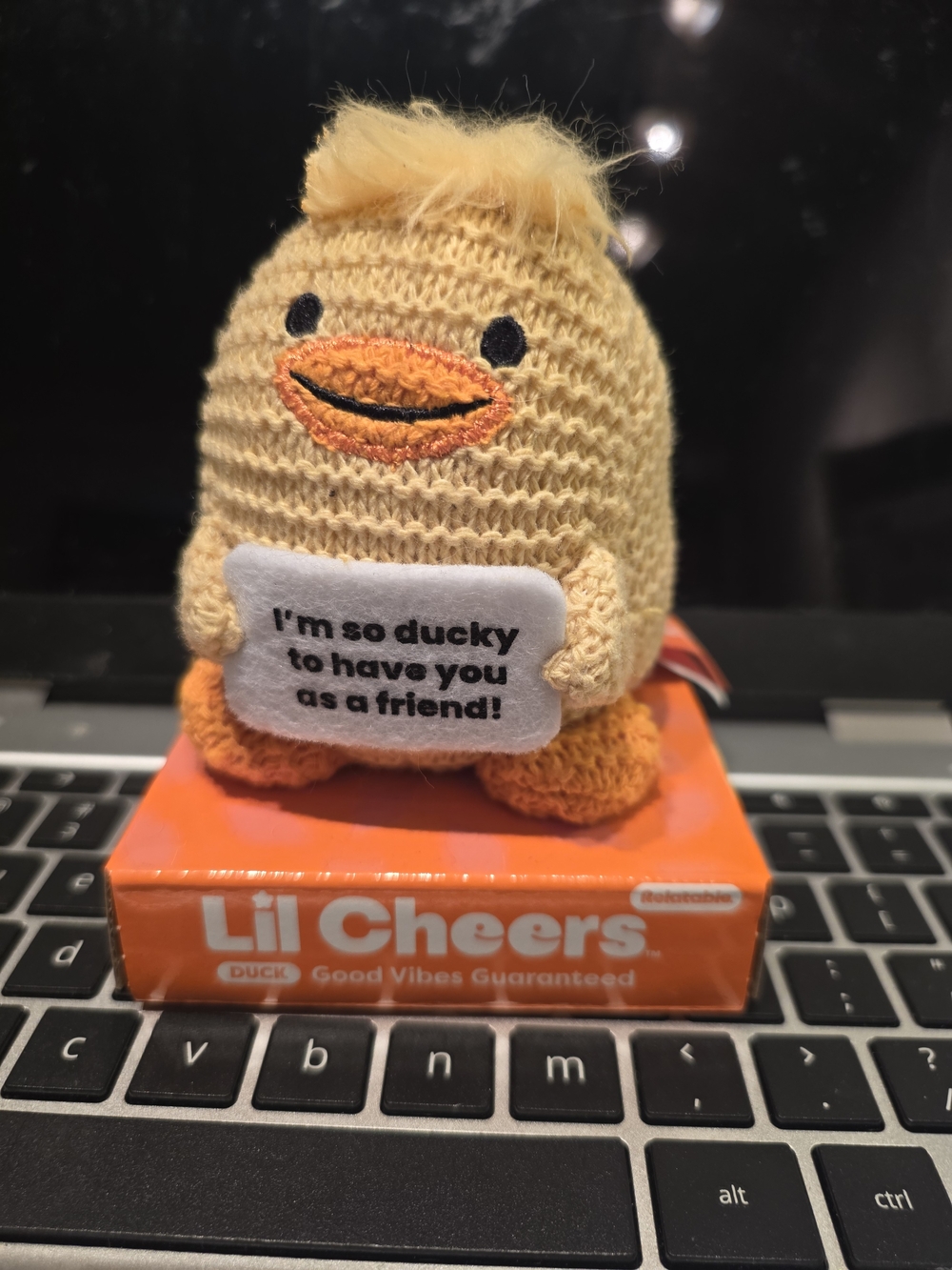 Lil Cheers Plush Duck Toy - Yellow